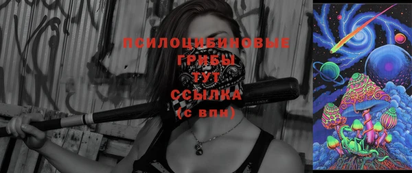 не бодяженный Алексин