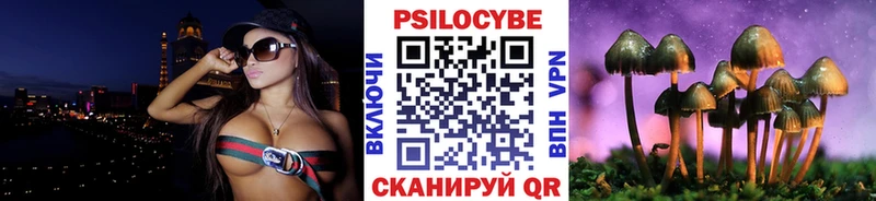 Псилоцибиновые грибы прущие грибы Салехард